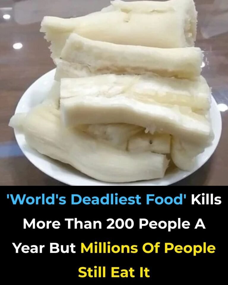 😨 Millions Eat Cassava Every Day — But Few People Know It Must Be Prepared Correctly ⚠️