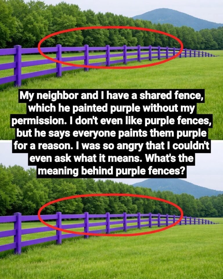 😲 The Real Meaning Behind Purple Fences — And Why So Many People Don’t Know About It 👇👇