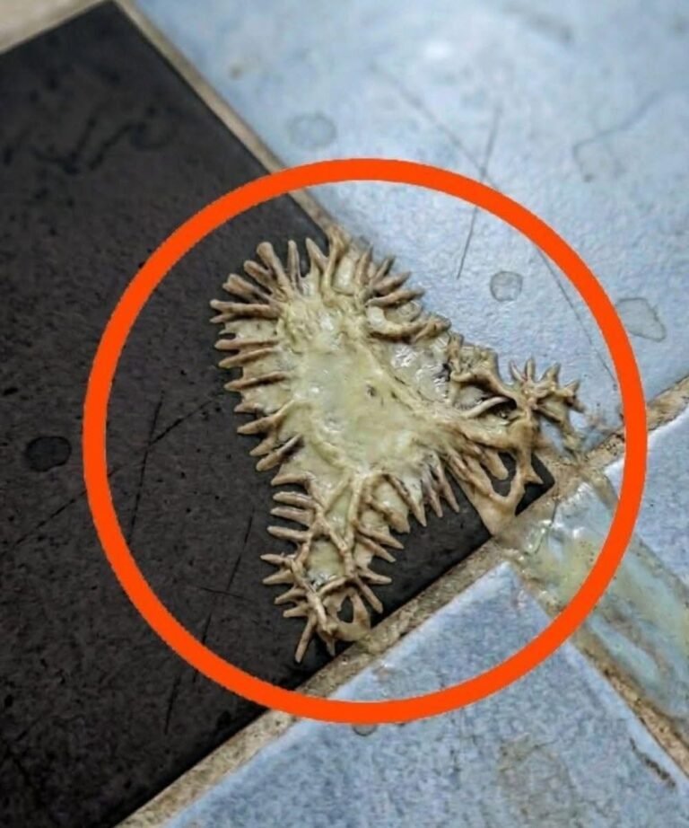 The Strange Bathroom Mystery