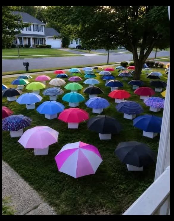 My son handed his umbrella to a pregnant woman during a storm — the following morning, 47 umbrellas covered our yard, each paired with a numbered box
