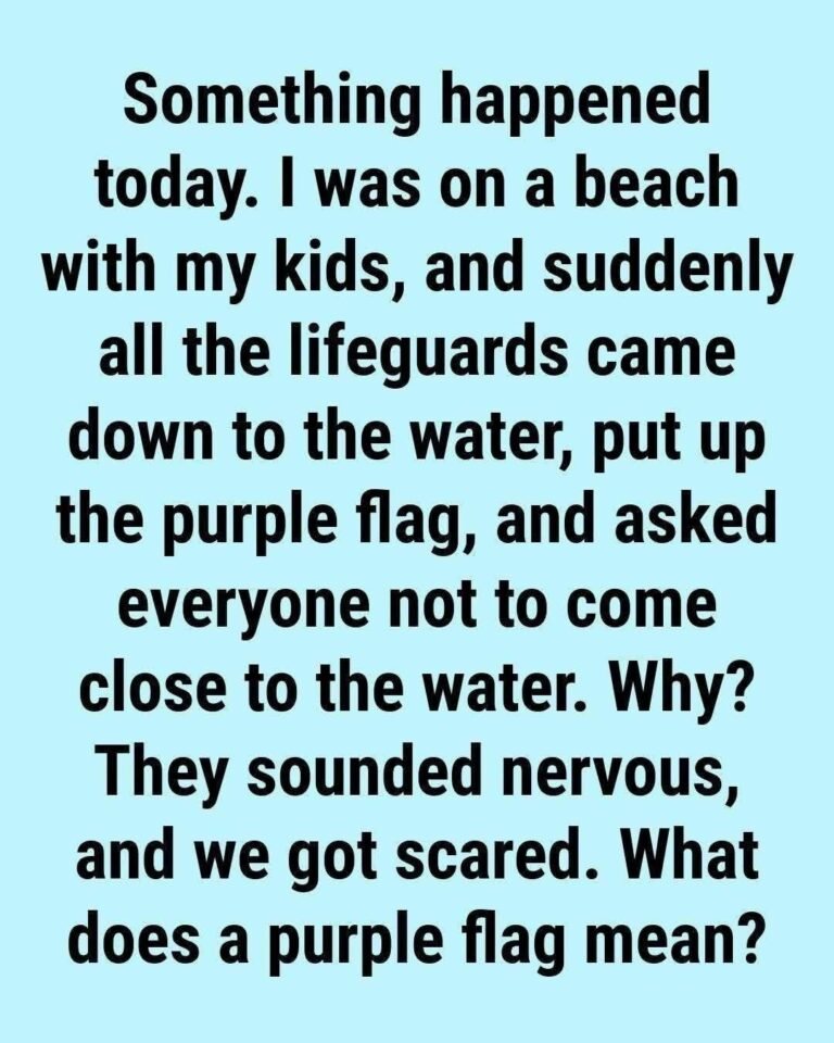 What Does the Purple Beach Flag Mean? The Hidden Ocean Warning Most Swimmers Ignore