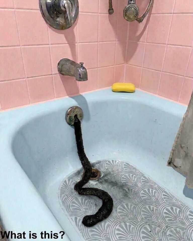 I Returned From Vacation to Find a “Snake” in My Bathtub—The Truth Was Even More Shocking