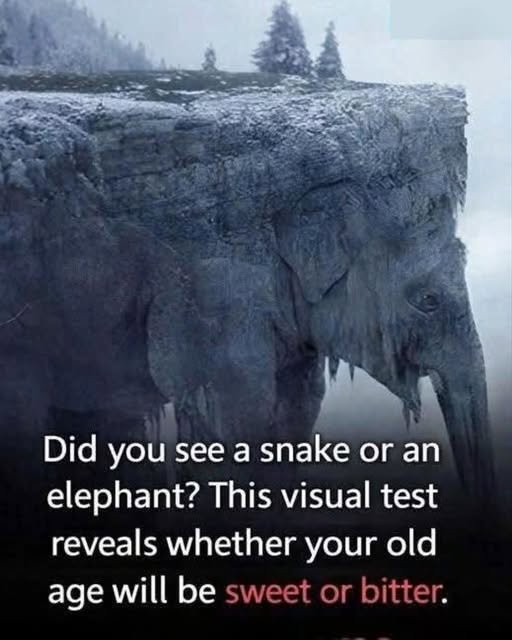 Snake or Elephant? This Viral Optical Illusion Claims to Reveal How You See the Future