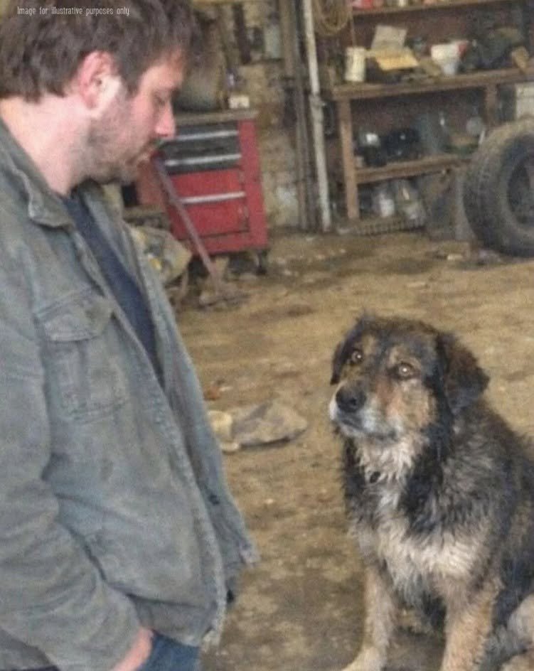 My Father Left No Will—Only a Dog and Protocols That Rebuilt Me