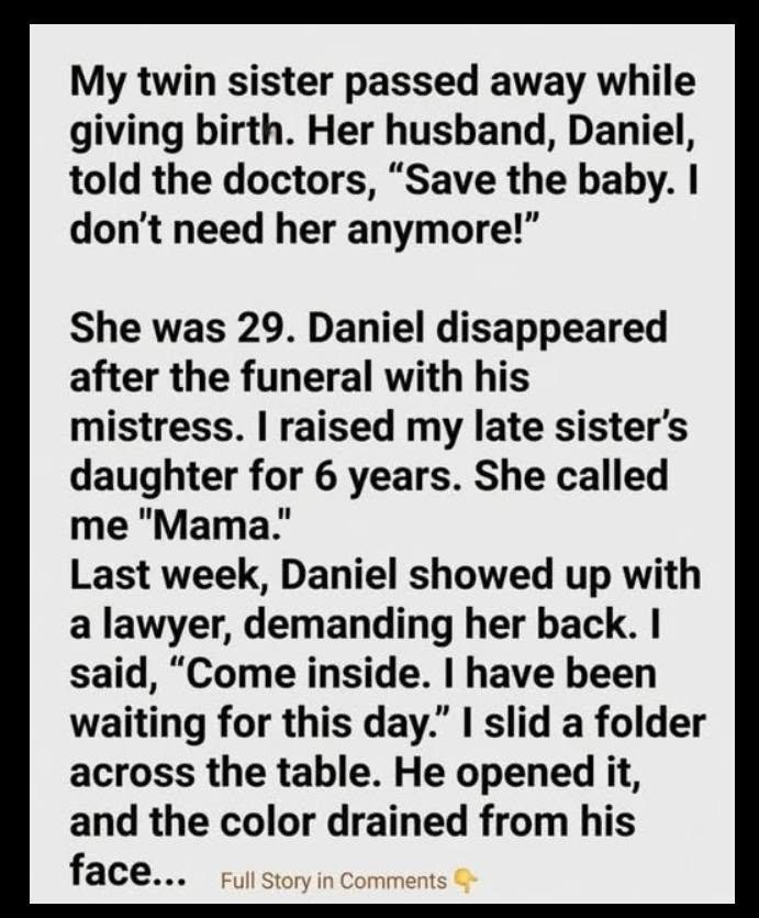 My Sister’s Millionaire Husband Abandoned Her Daughter After The Funeral Six Years Later, He Returned With Lawyers And Demanded Her Back
