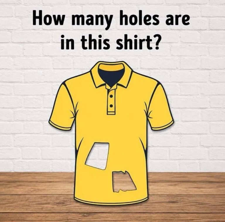 How many holes are in this shirt?