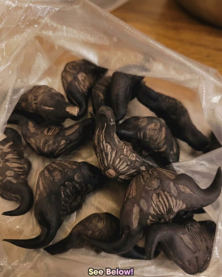 My Neighbor Gave Me a Bag of These: What Are They and How Do You Eat Them?