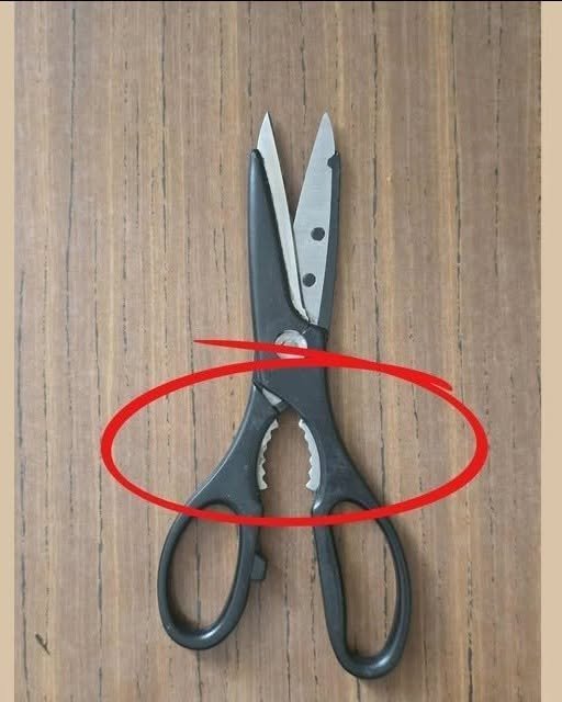 What Is That Weird Toothed Part on Kitchen Scissors For?