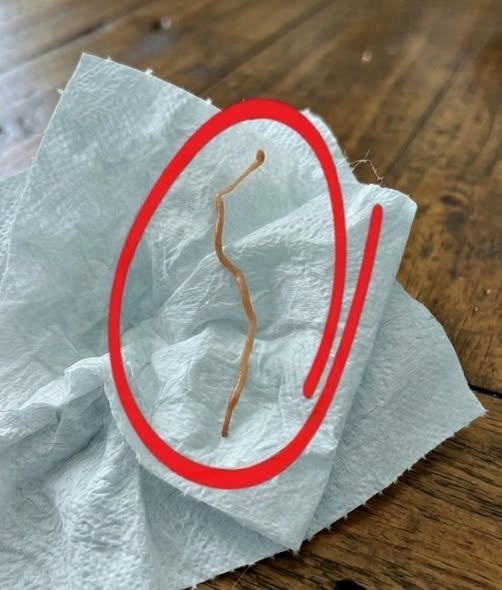 The Strange Moment That Changed How I See Cooking Forever