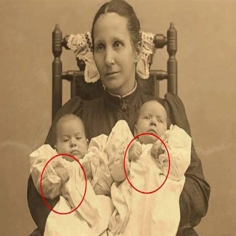 The family photograph from 1892 that everyone thought was innocent… until they noticed the babies’ hands in their mother’s arms