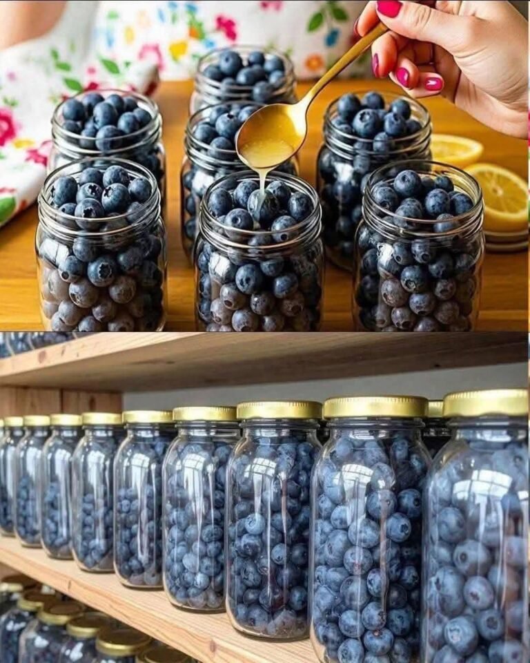 Preserved Blueberries in Jars