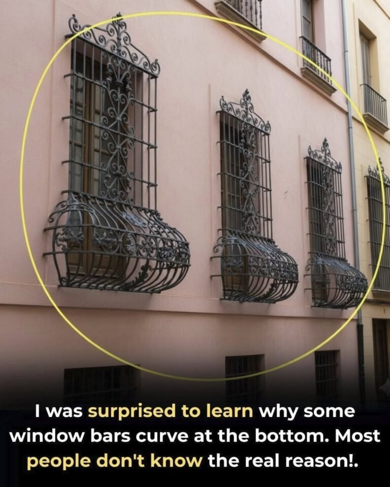 Many people think it’s for decoration!