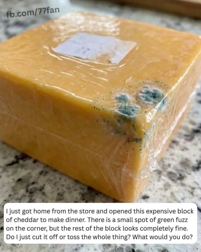 That Green Spot on Your Cheddar… Cut It Off or Toss the Whole Thing?
