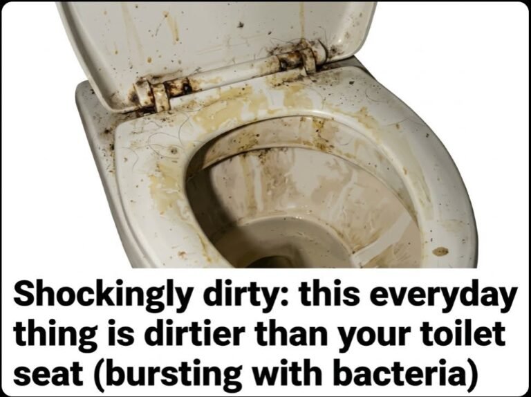 Shockingly dirty: this everyday thing is dirtier than your toilet seat (bursting with bacteria)