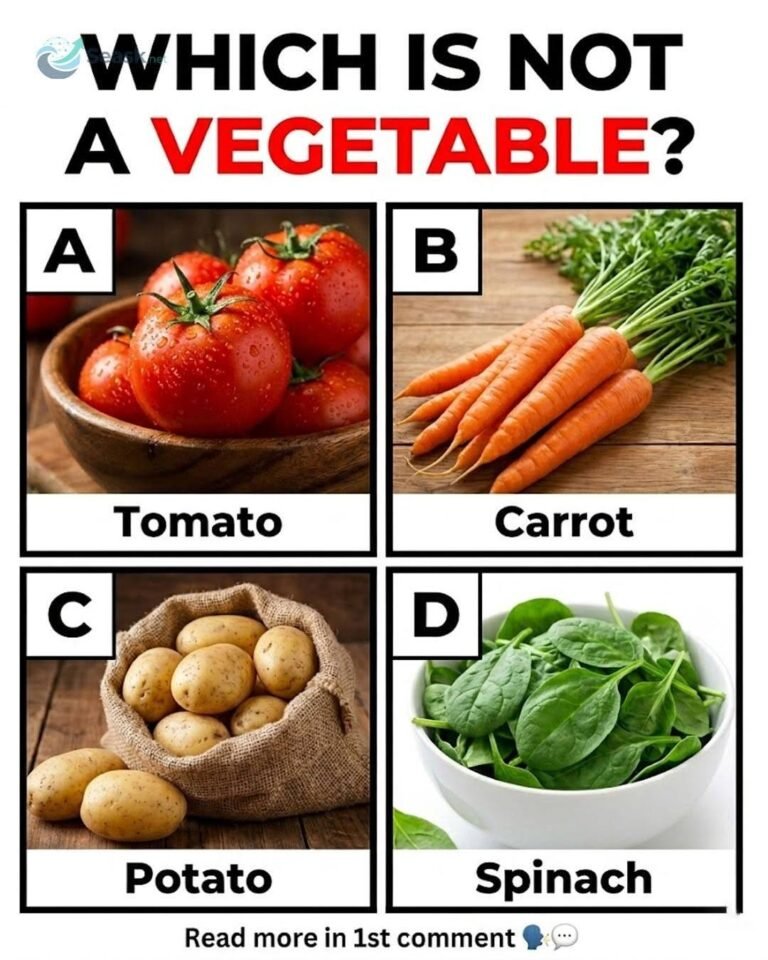Are You Able to Solve This Tricky Question?