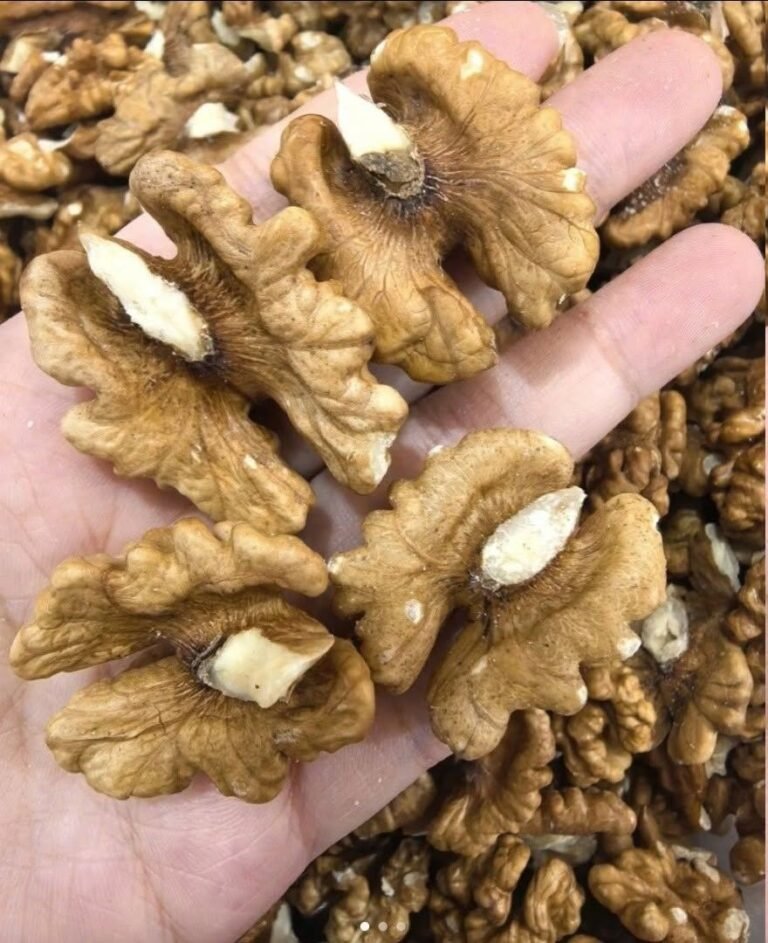 Doctors Reveal That Eating Walnuts Causes Remarkable Changes in the Brain and Body