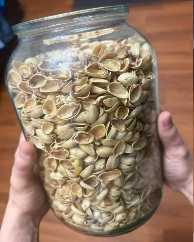 The Hidden Power of Pistachio Shells: Benefits and Clever Homemade Uses