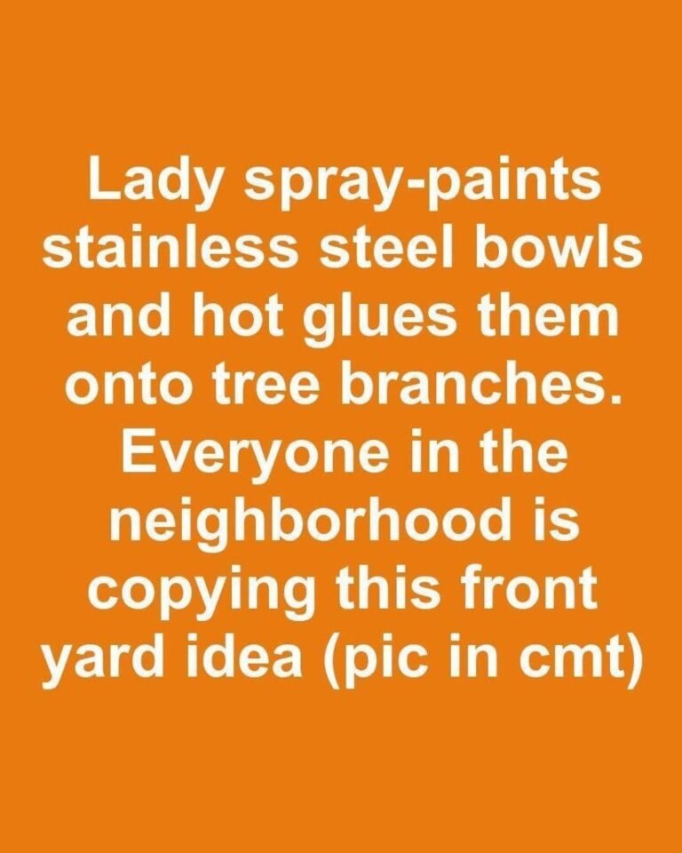 Lady spray-paints stainless steel bowls and hot glues them onto tree branches. Everyone in the neighborhood is copying this front yard idea