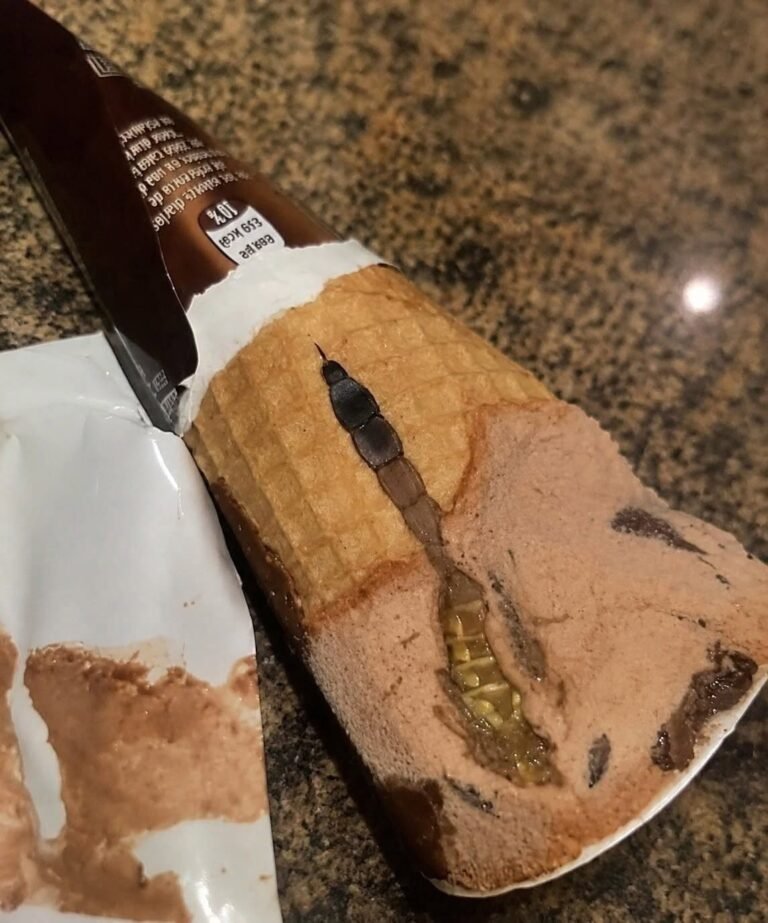 My daughter opened a package of chocolate ice cream and found something strange inside: we were surprised to realize what it was