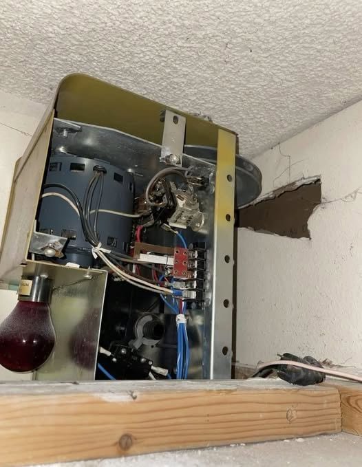 A Strange Find in the Ceiling