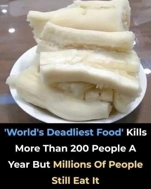 Despite Being the Worlds Deadliest Food, 500 Million Still Consume It, and It Claims Over 200 Lives Annually