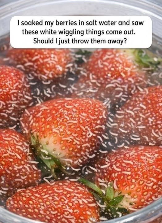 I soaked my berries in salt water and saw these white wiggling things come out. Should I just throw them away?