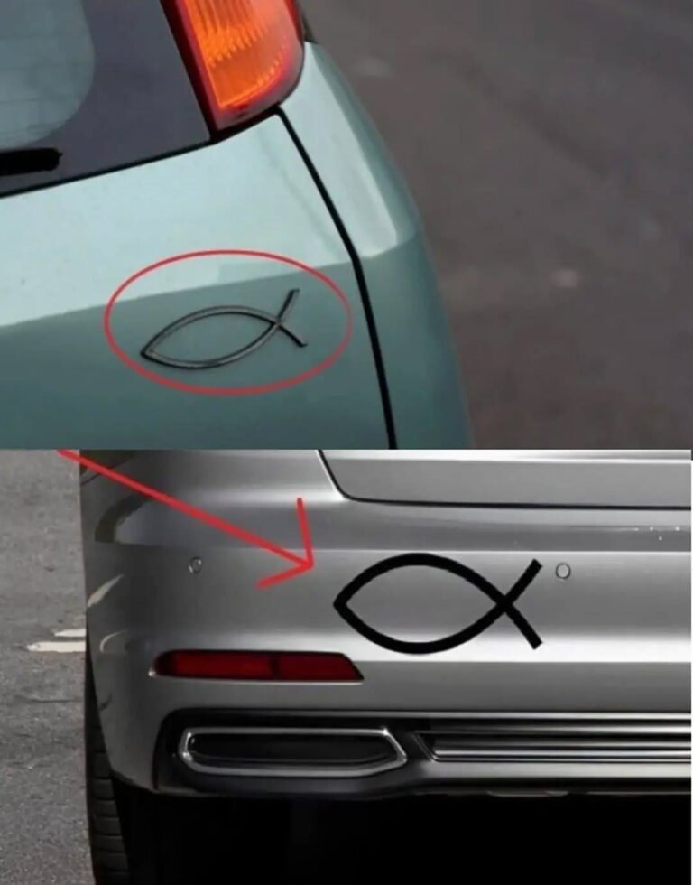 What does the small fish-shaped symbol seen on the back of some cars mean, and why is it used?