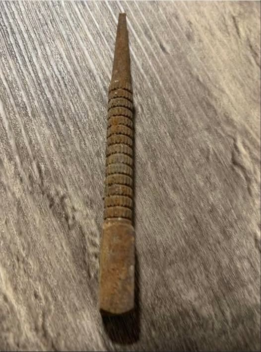“Found this yesterday on a country road. Any ideas?” a confused netizen asked….See more