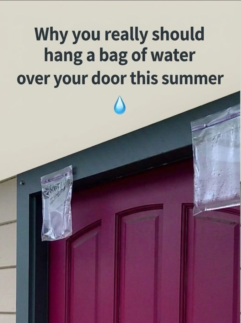 Why you really should hang a bag of water over your door this summer