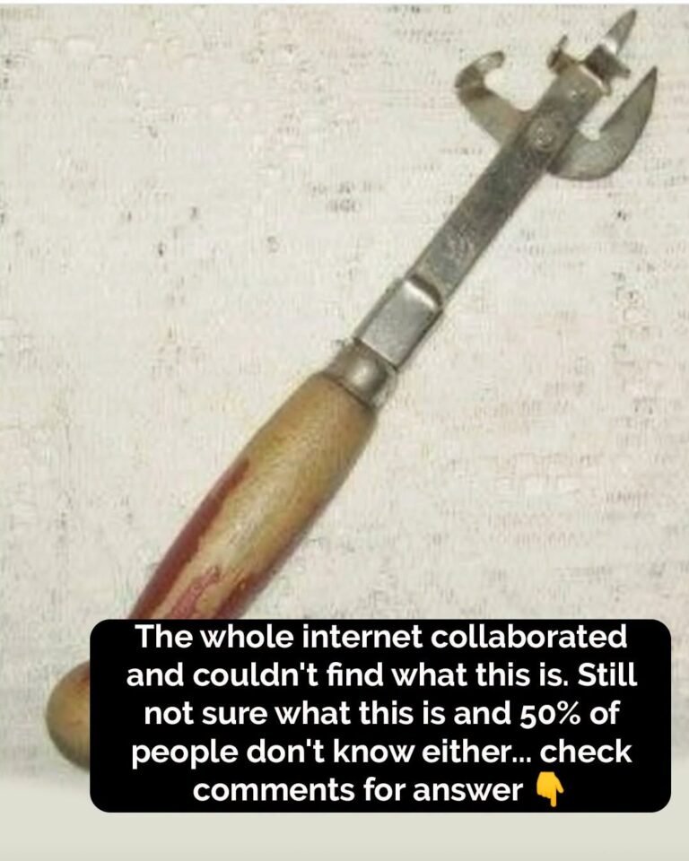 Vintage kitchen tool baffles online users
