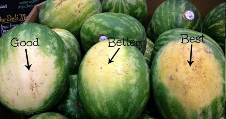 5 key tips to make sure you pick the perfect watermelon every time