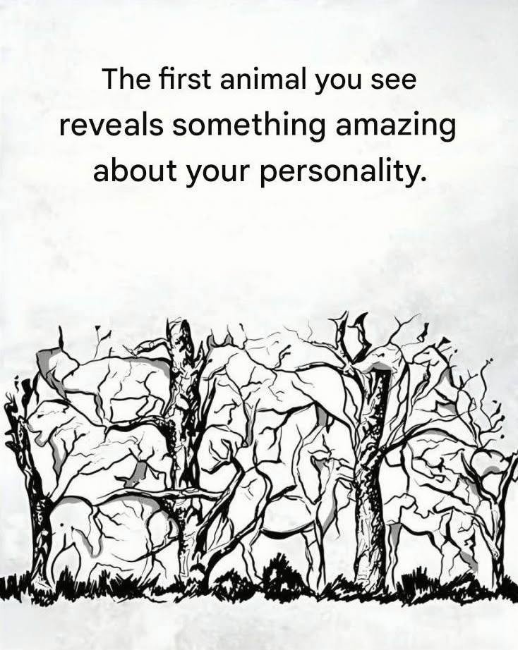 The first animal you see will reveal some information about your personality.
