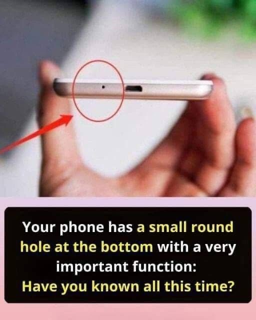 The Hidden Role of the Small Hole in Your Smartphone