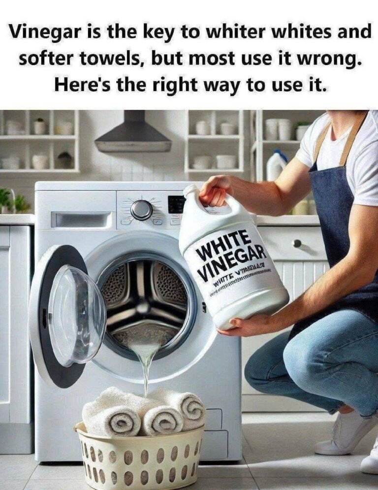 Vinegar is the key to whiter whites and softer towels, but most use it wrong. Here’s the right way to use it
