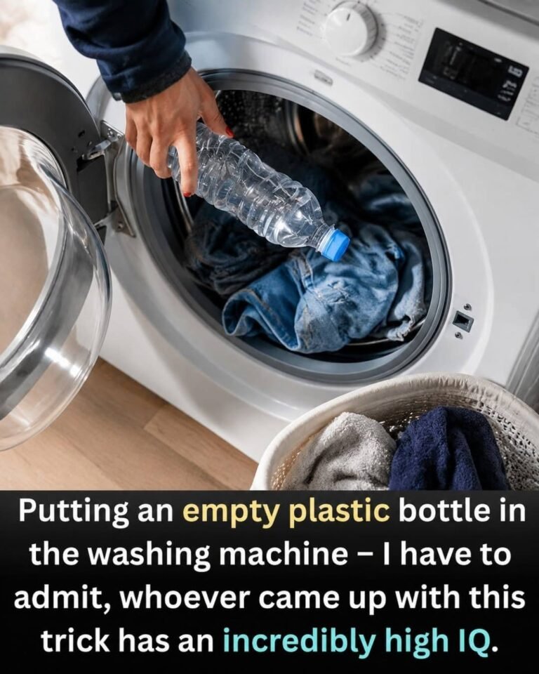 The Plastic Bottle Sitting in Your Bin? It’s Way More Useful Than You Think