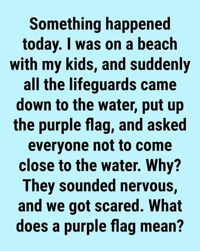 What Does the Purple Beach Flag Mean? The Hidden Ocean Warning Most Swimmers Ignore