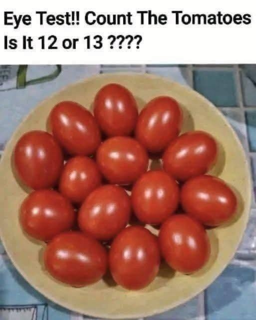 Eye Test!! Count The Tomatoes Is It 12 or 13 ??? results in the first comment..