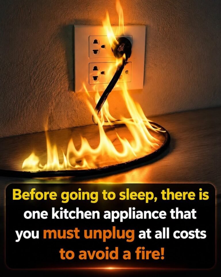Keep Your Home and Budget Safe: Five Appliances to Unplug When You’re Finished