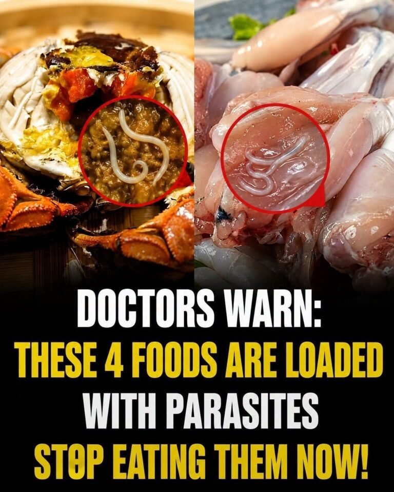 Doctors Issue Urgent Warning: Stop Eating These 4 Everyday Foods Immediately Before They Destroy Your Body From the Inside Out!