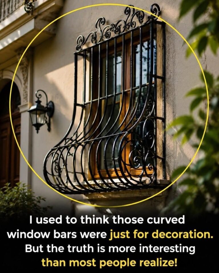 Why are some window bars curved at the bottom