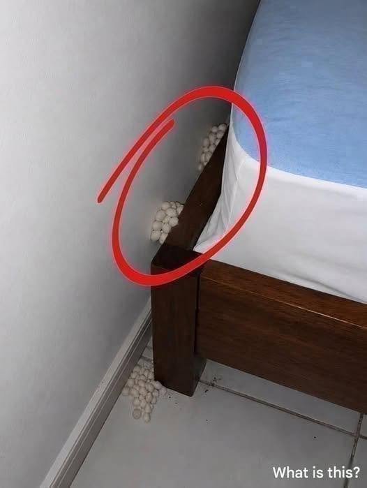 I arrived home exhausted, hoping for a quiet night, but one detail made me realize that something was wrong.