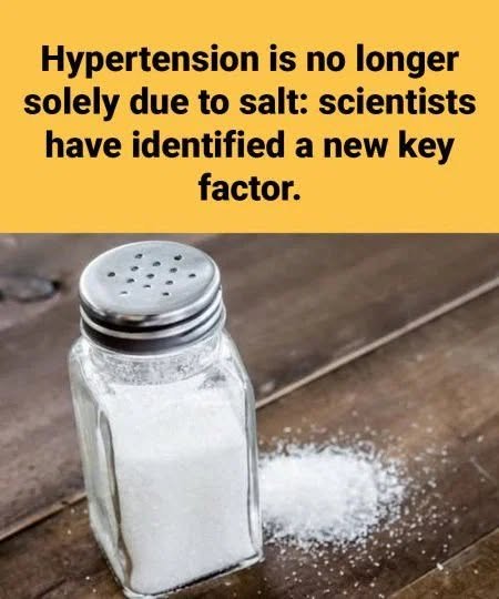 Hypertension is no longer solely due to salt: scientists have identified a new key factor.