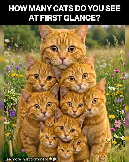 How Many Cats Can You Spot? The Viral Optical Illusion That’s Driving the Internet Crazy