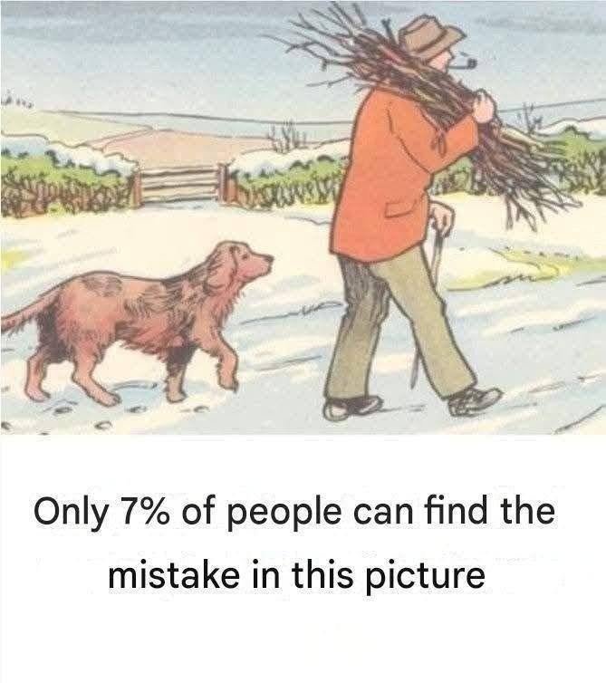Can you spot the error in this snowy scene?