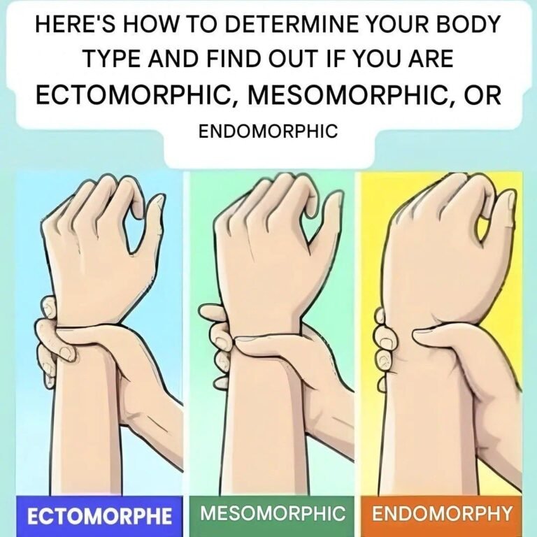Are you an ectomorph, mesomorph, or endomorph? Discover your body type and how to make the most of it.