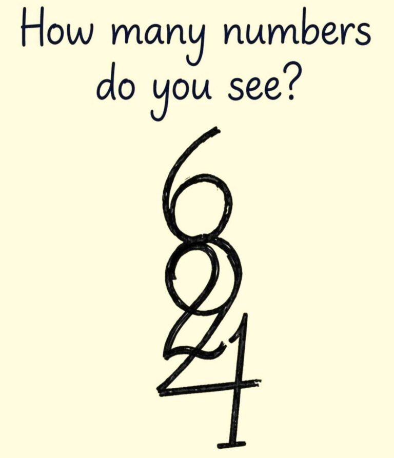 How Many Numbers Do You See? The Viral Puzzle That Has Everyone Counting Differently