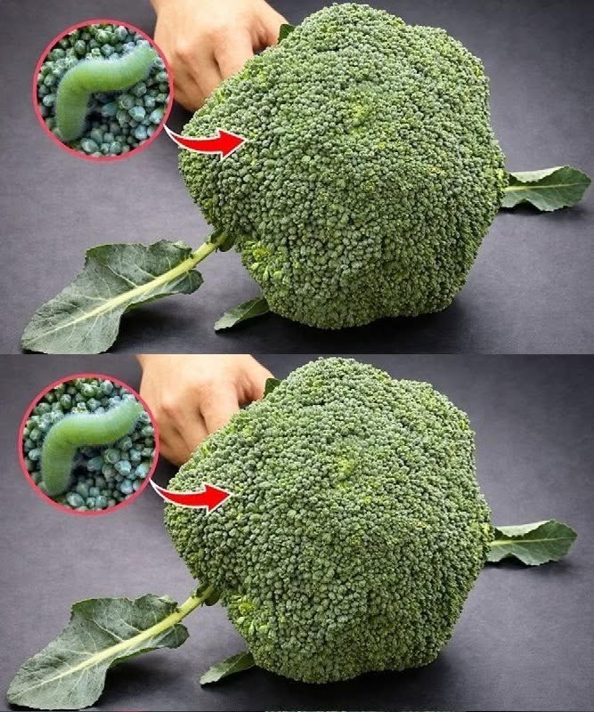 Washing broccoli with just water is wrong: This is the correct way. 1