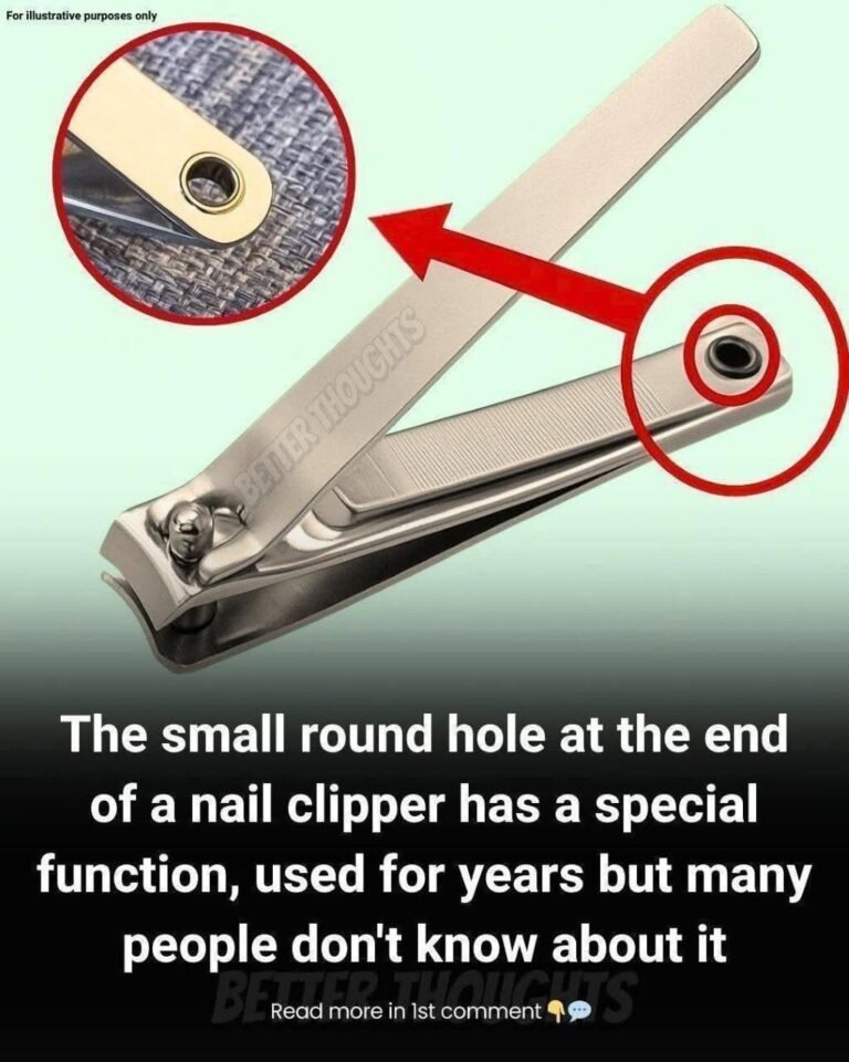 The Tiny Hole on Your Nail Clipper — and Why Small Design Details Matter More Than We Realize