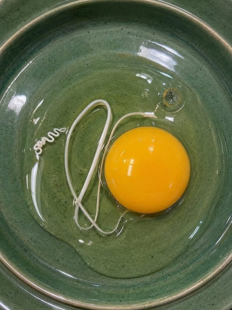 I Thought the White String in My Egg Was Something Dangerous—The Truth Completely Surprised Me