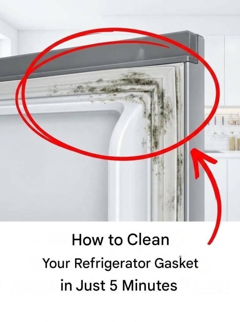 Here’s how to clean your refrigerator’s waterproof seal in 5 minutes.